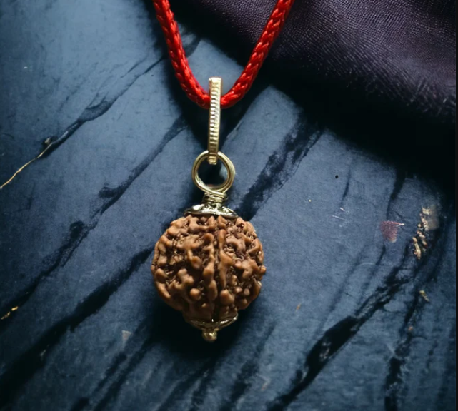5 Mukhi Nepali Rudraksha - Paanch Mukhi